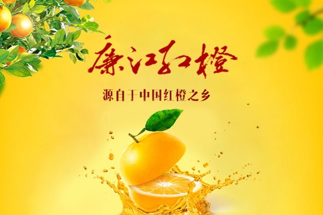 廉江红橙